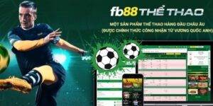 thể thao fb88 nhà cái cung cấp đa dạng tỳ lệ kèo